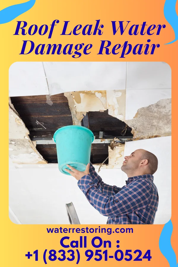 Roof Leak Water Damage Repair in Elmwood, IL
