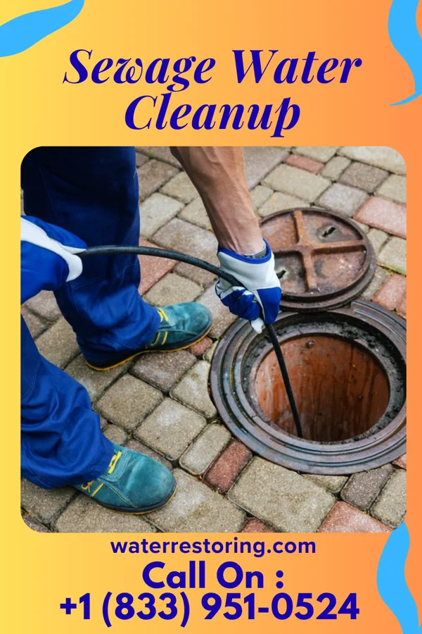 Sewage Water Cleanup in Elmwood, IL